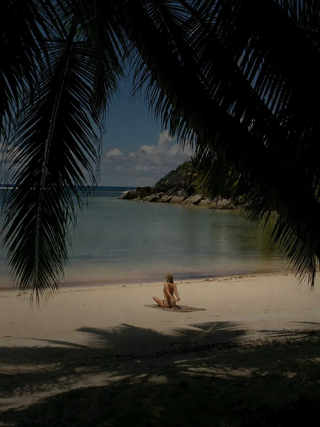 A woman sitting alone on a quiet beach framed by palm leaves, looking out at the water